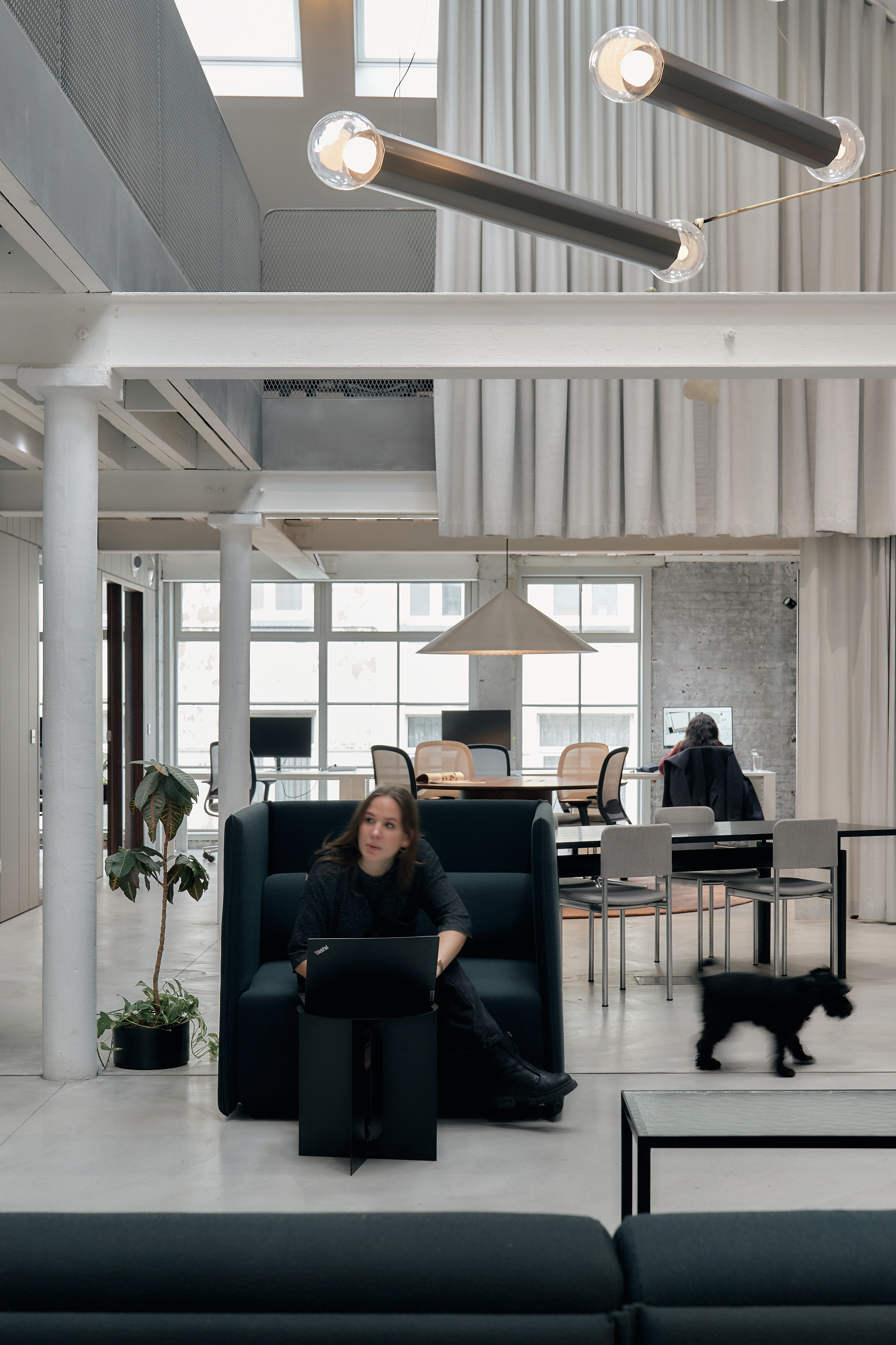 Modern office interior with a woman working on a laptop and a small dog walking nearby.